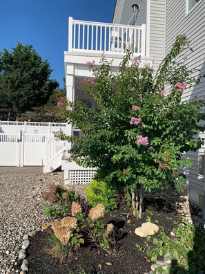 Property grounds -  Cape May Beach- Luxury Bayfront- Heated Pool-Linens (Cape May Beach)
