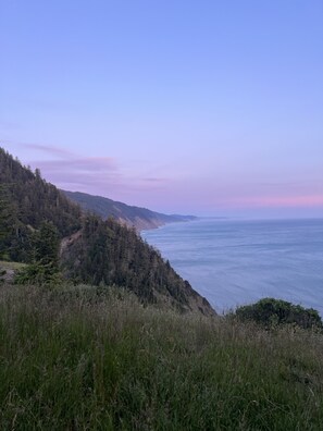 Unclassified image, 3 of 37, button