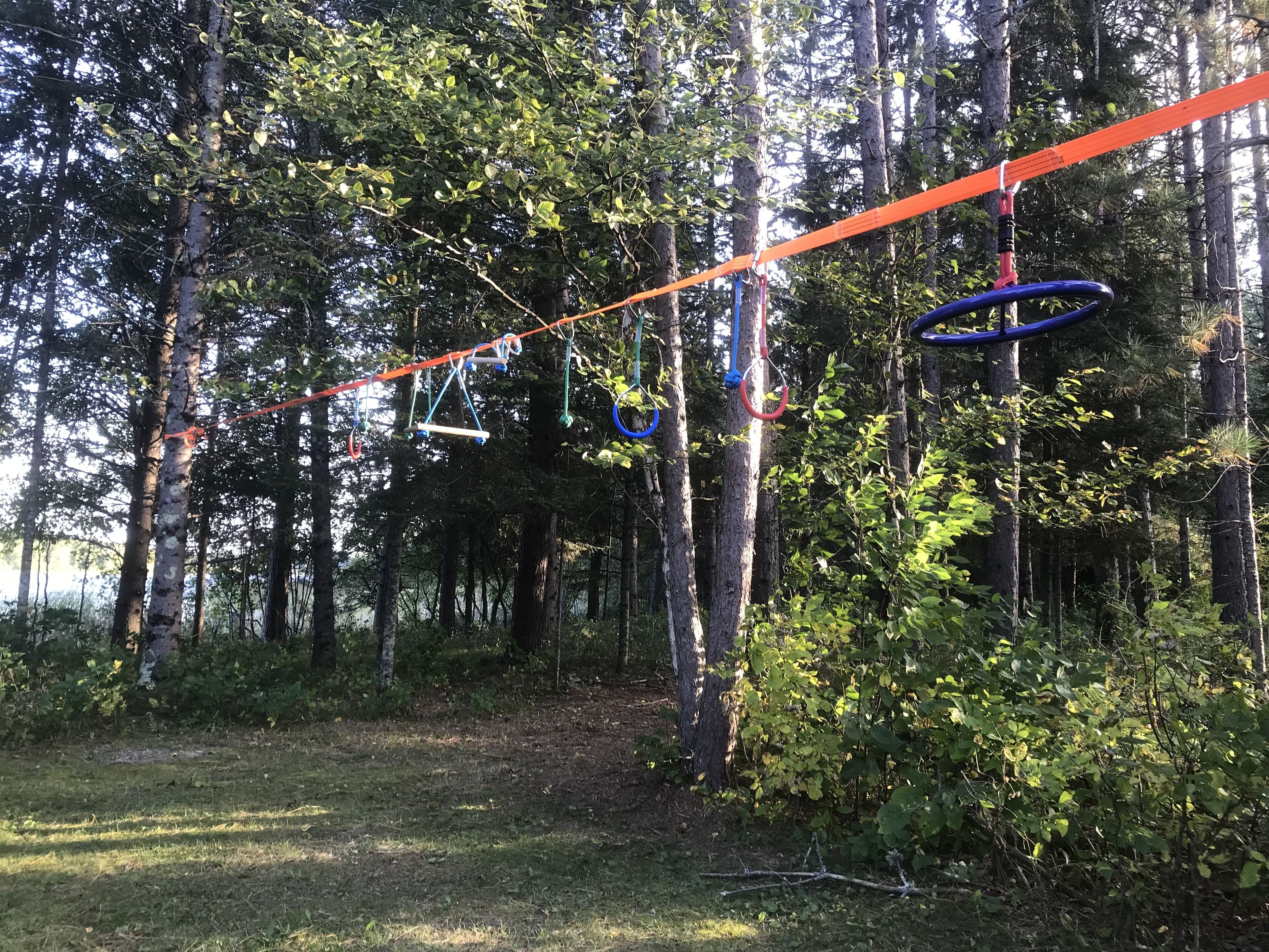 A forested area with a rope bridge and various hanging rings.