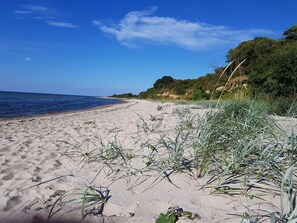 En sandstrand med vegetation forgrunden og en skovklædt bakke i baggrunden.