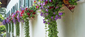 Historic Stohrerhof estate on Lake Ammersee with 1,000 m² garden for up to 11 people