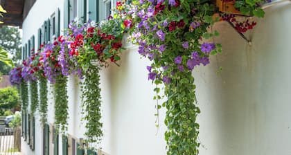 Historic Stohrerhof estate on Lake Ammersee with 1,000 m² garden for up to 11 people