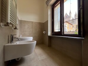 Shower, hair dryer, bidet, towels