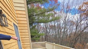 A wooden deck with a white railing, a door, and a view of trees and sky.