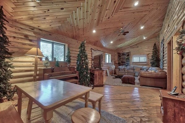 Smart TV, fireplace, video-game console, Netflix