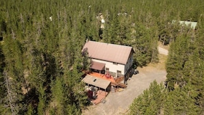 A cabin surrounded by dense forest with a dirt driveway leading to the entrance.