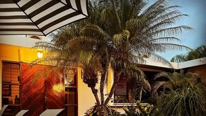 Eine Terrasse mit Liegestühlen, einer Palme und Topfpflanzen.