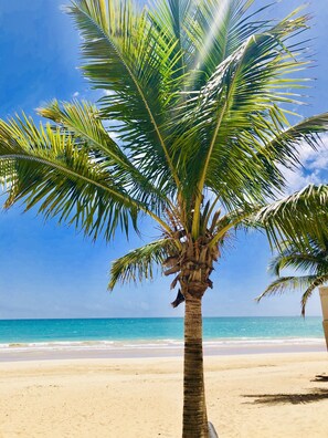 Sun-loungers, beach towels