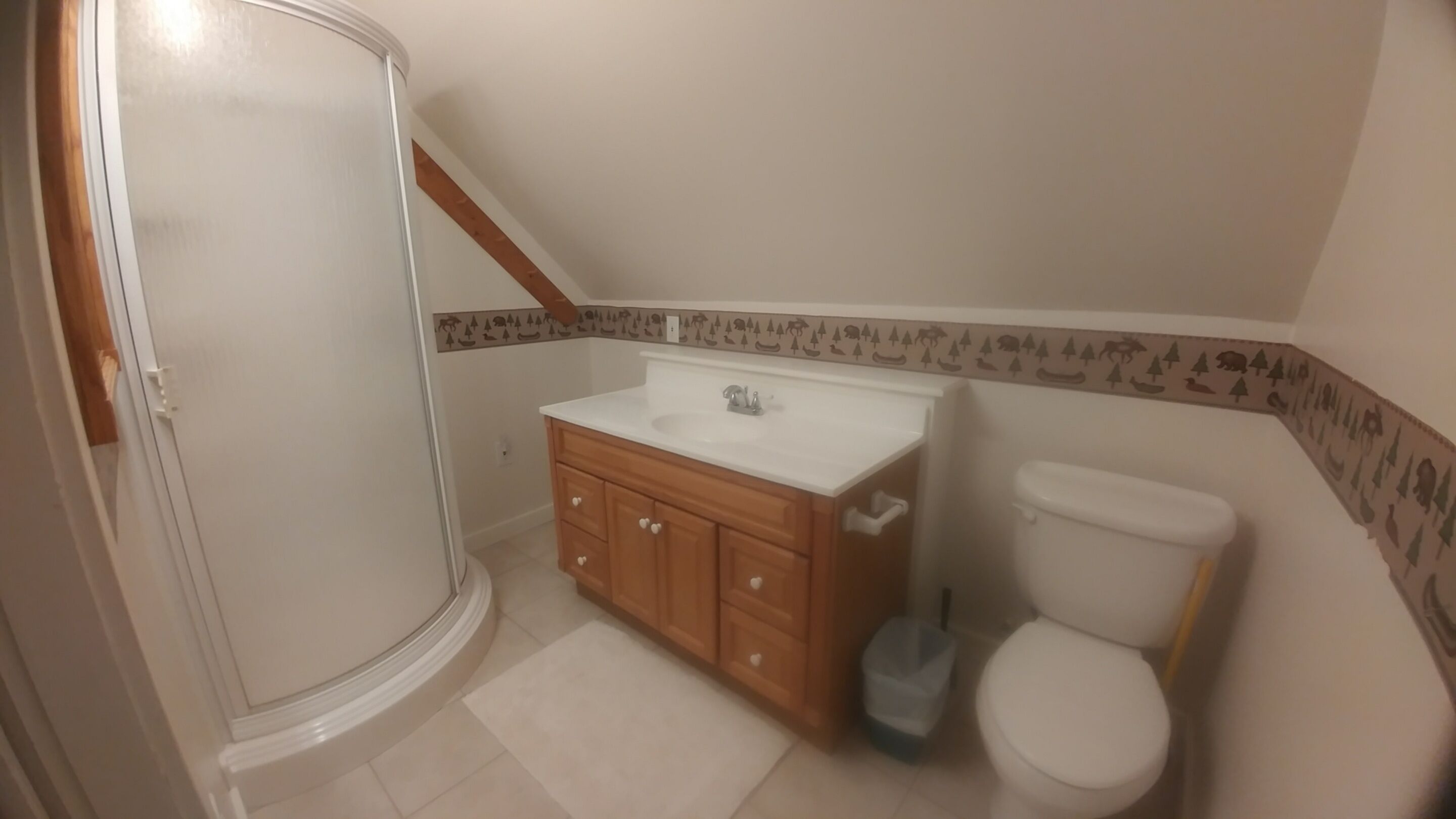 Un bagno con doccia, un lavandino con mobiletti in legno e un water.