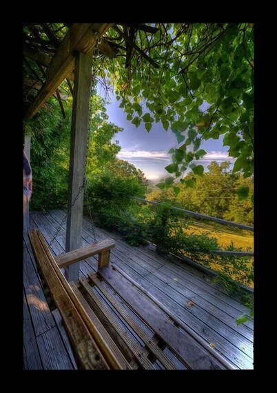 Mountain Top Eureka Springs Cabin with Full Glass Front Best Views in Eureka