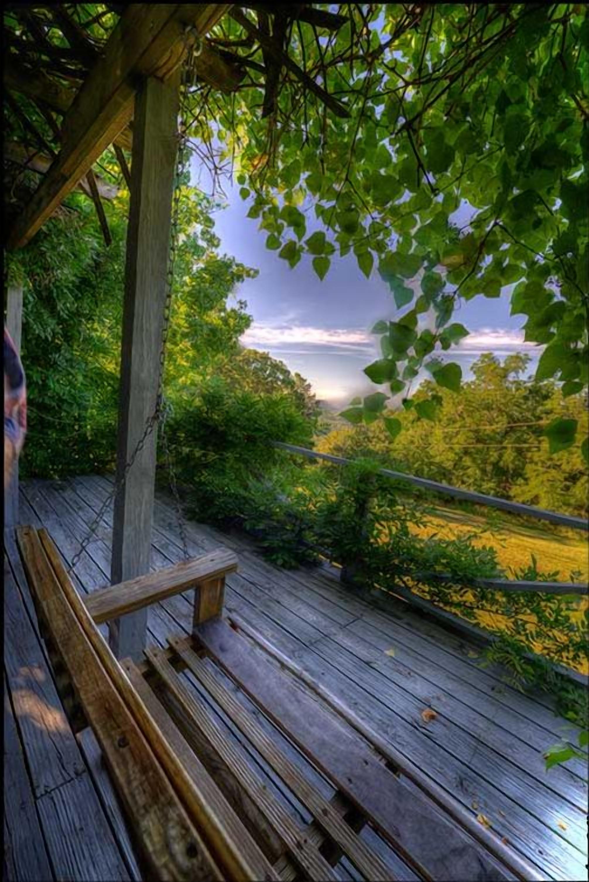 Eine Holzterrasse mit einer Bank, umgeben von üppiger Vegetation und Blick auf das Meer.