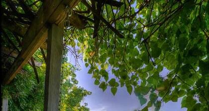 Mountain Top Eureka Springs Cabin with Full Glass Front Best Views in Eureka