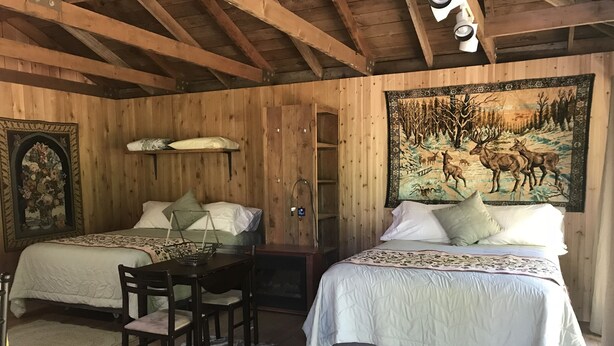 Een knus vertrek met twee bedden, een bureau en een groot wandtapijt.