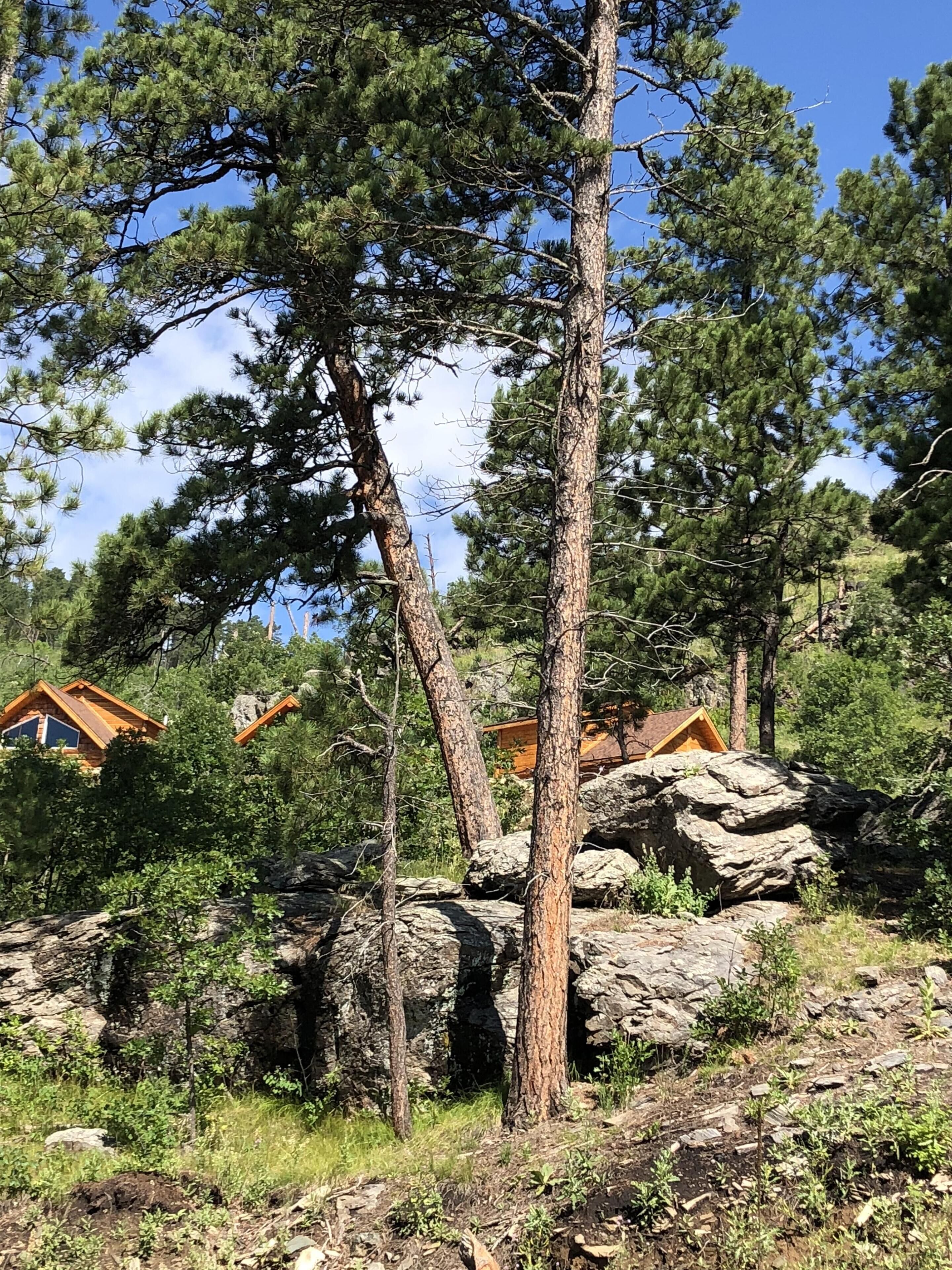 A cabin surrounded by large rocks and pine trees.
