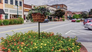 Une rue bordée d’immeubles, avec un parterre de fleurs et des voitures garées.