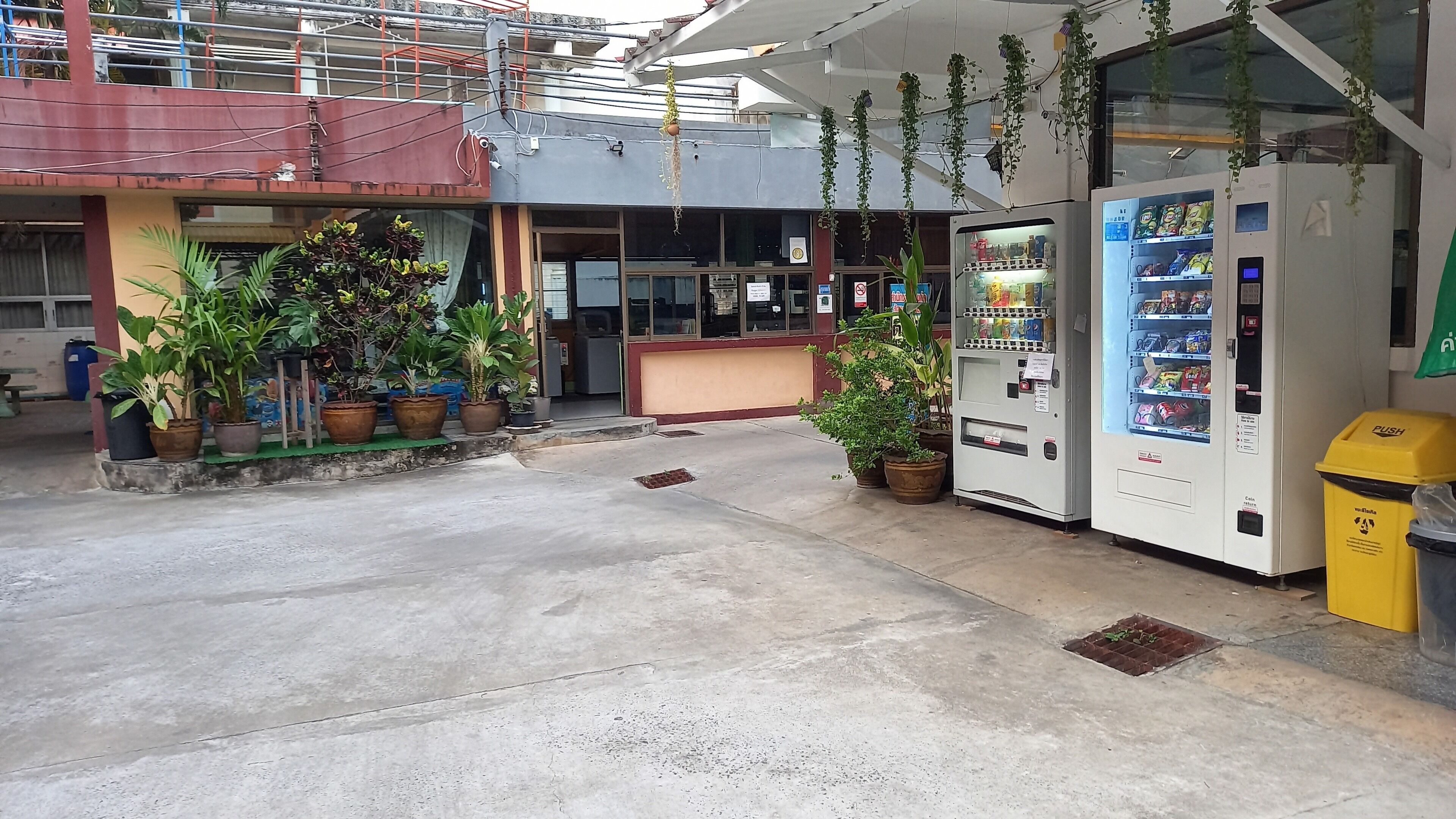 A commercial area with a vending machine, potted plants, and a building entrance.