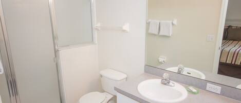 A bathroom with a shower, toilet, sink, and a large mirror.