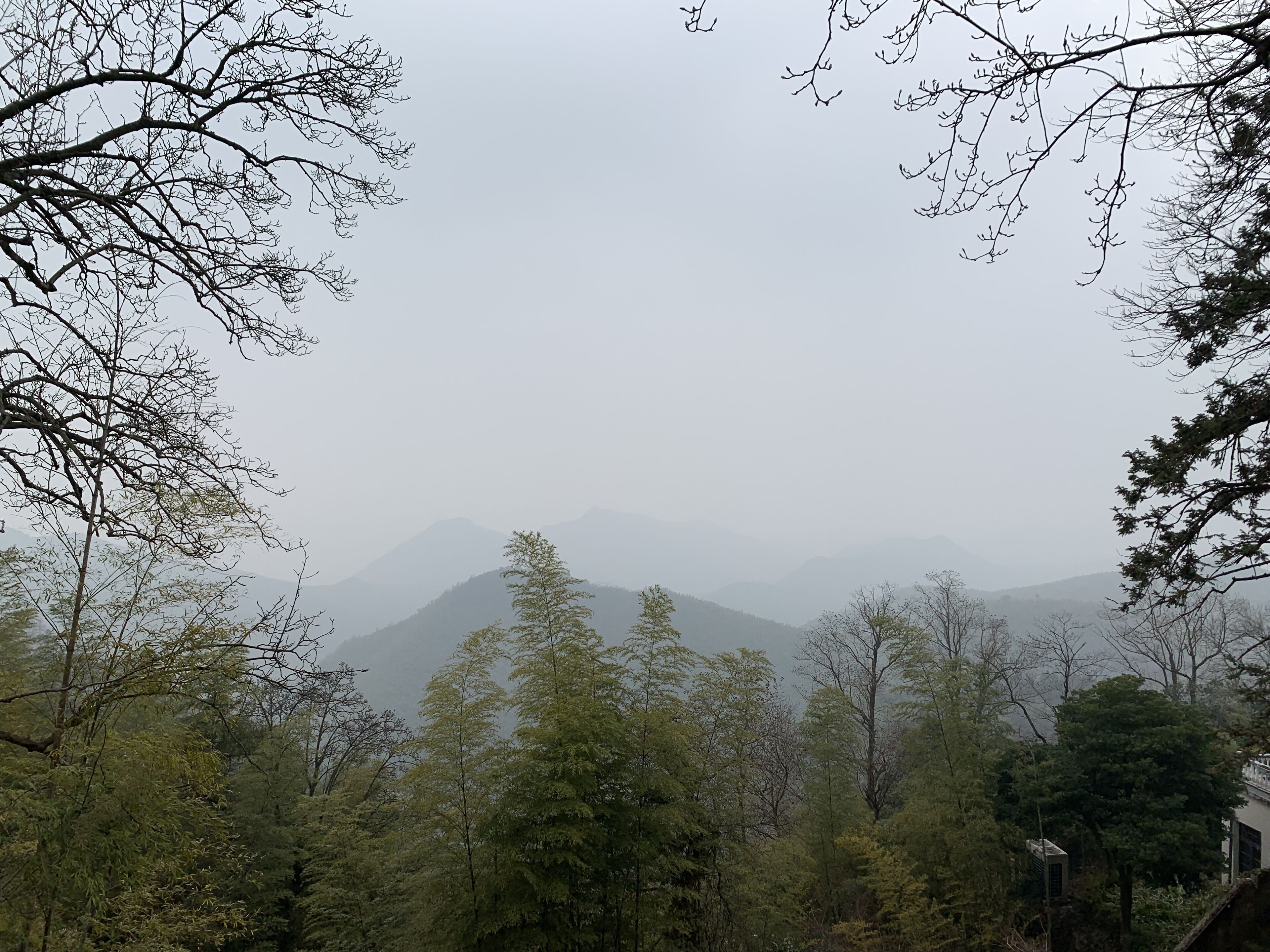 A view of a mountainous landscape with dense forest in the foreground and mist-covered peaks in the background.