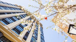 Un grand immeuble à la façade moderne en verre, avec un cerisier en fleurs devant.