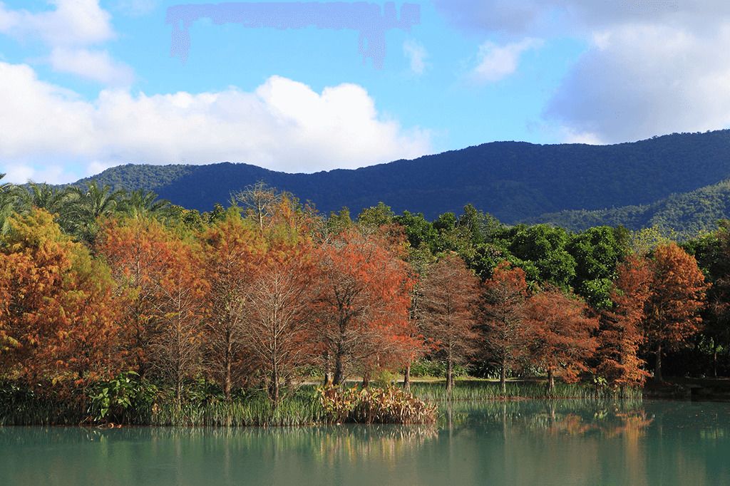 A lake surrounded by trees with autumn foliage, a clear sky, and a mountain in the background.