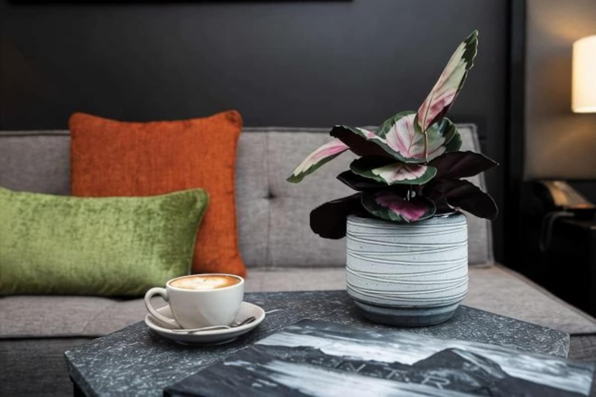 A modern living room with a sofa, a coffee table, a potted plant, and a cup of coffee.
