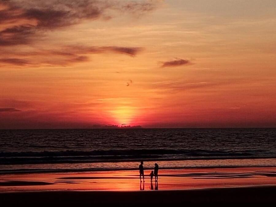 En la playa, sillas reclinables de playa, vóleibol de playa