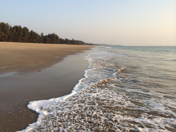 On the beach, sun loungers, beach volleyball - OmBodhi Retreat (Kumta)