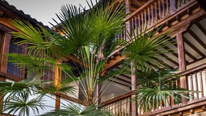 A courtyard with a palm tree, potted plants, and a wooden balcony. - La casa de los Infantes by Toledo AP (Toledo)