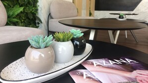 A modern interior with a sofa, a round table, and three potted succulents on a tray. - Front One Inn Kediri (Ngasem)