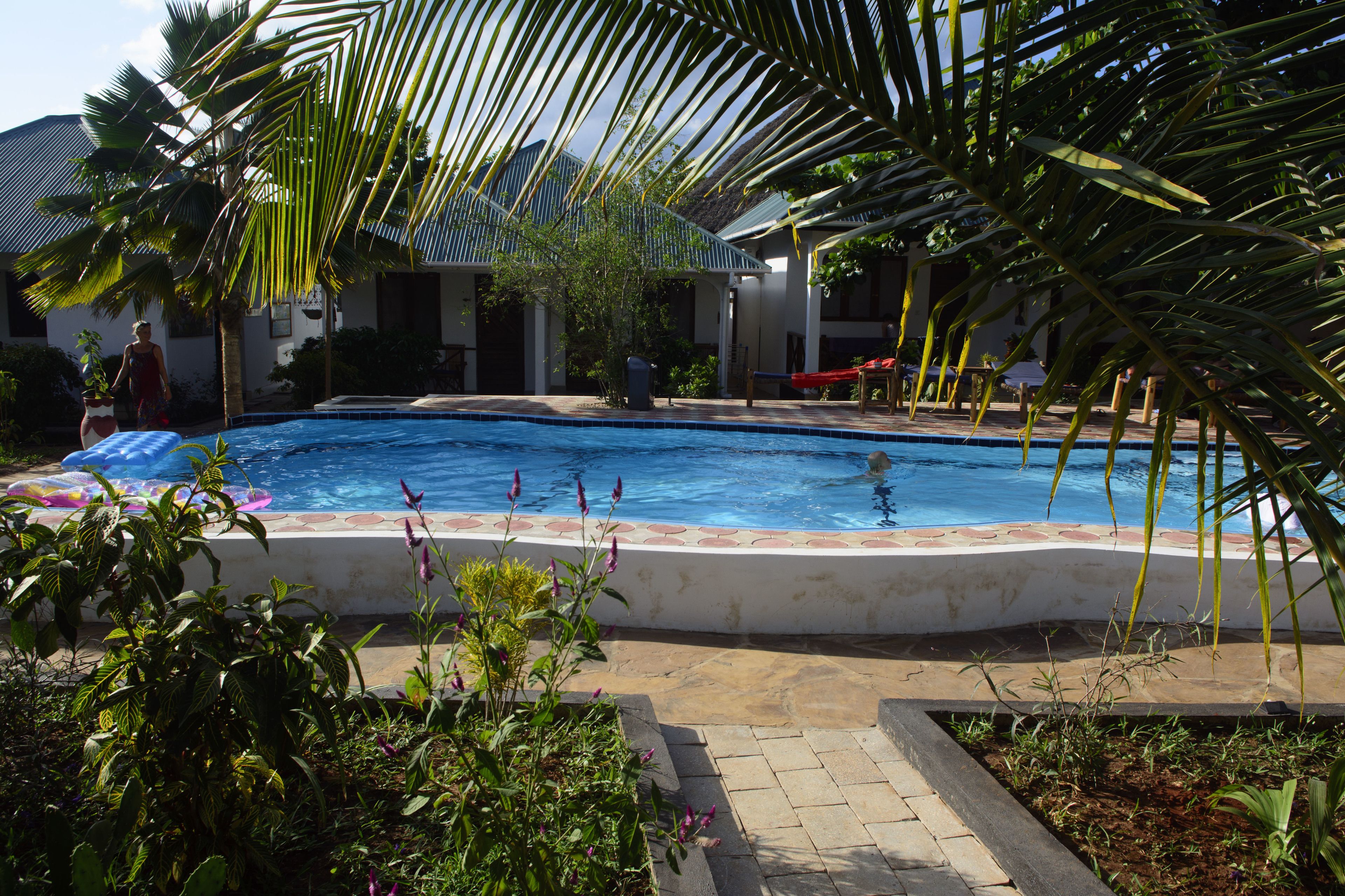 A swimming pool surrounded by palm trees and a covered patio area.