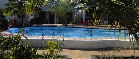 Una piscina circondata da palme e un patio coperto.