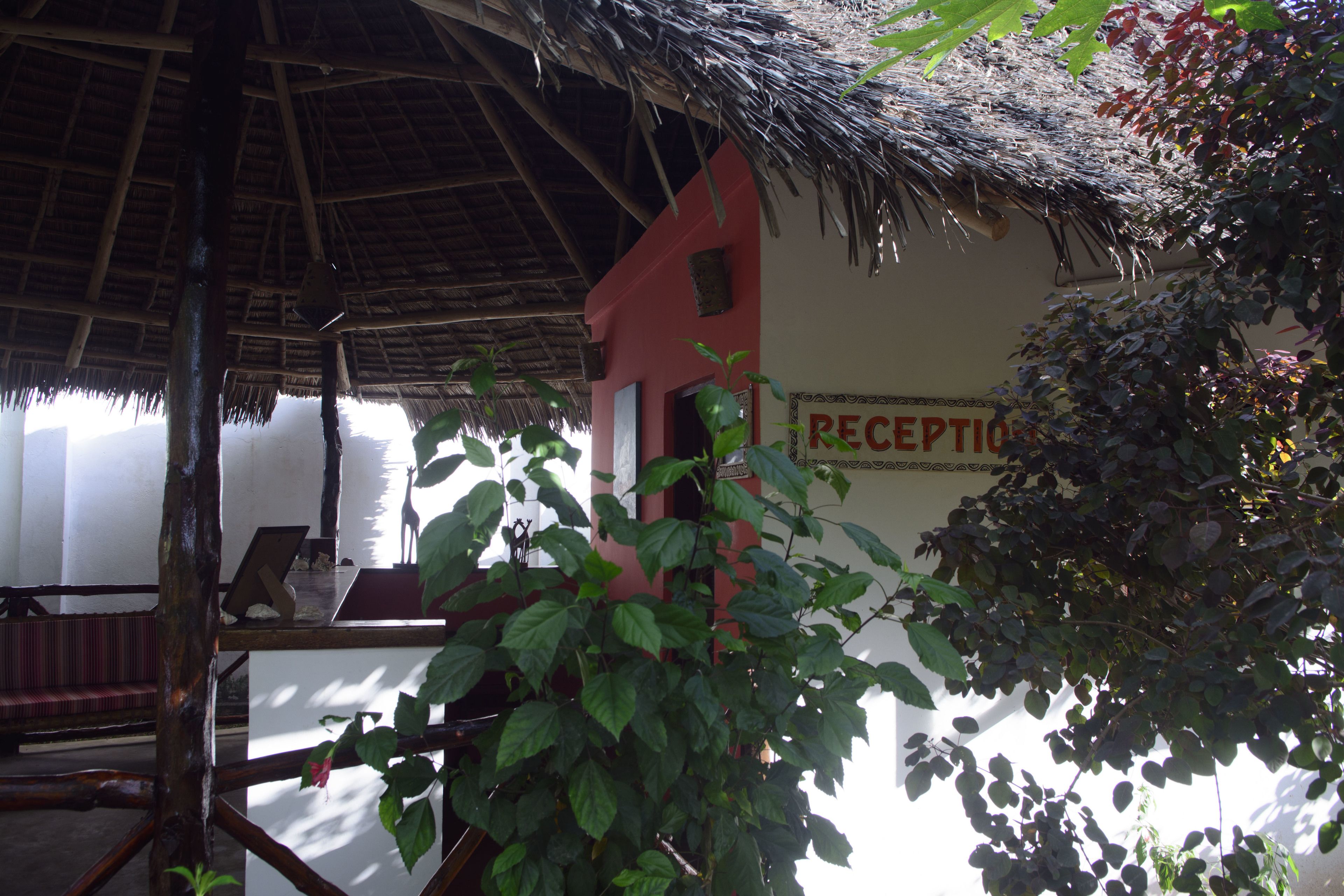 A reception area with a thatched roof and a sign reading "RECEPTION".
