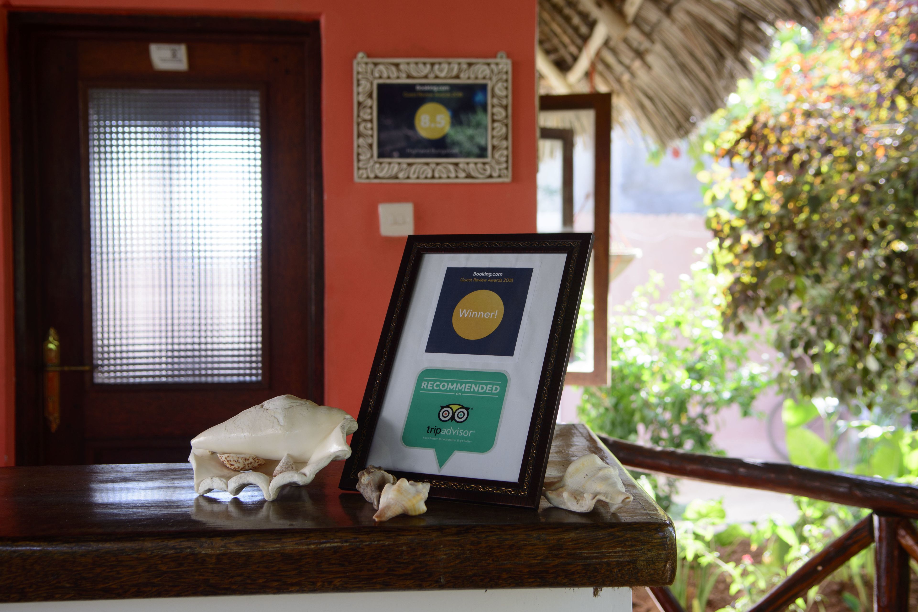 A framed certificate on a wooden counter with seashells, a door with a window, and a thatched roof structure in the background.