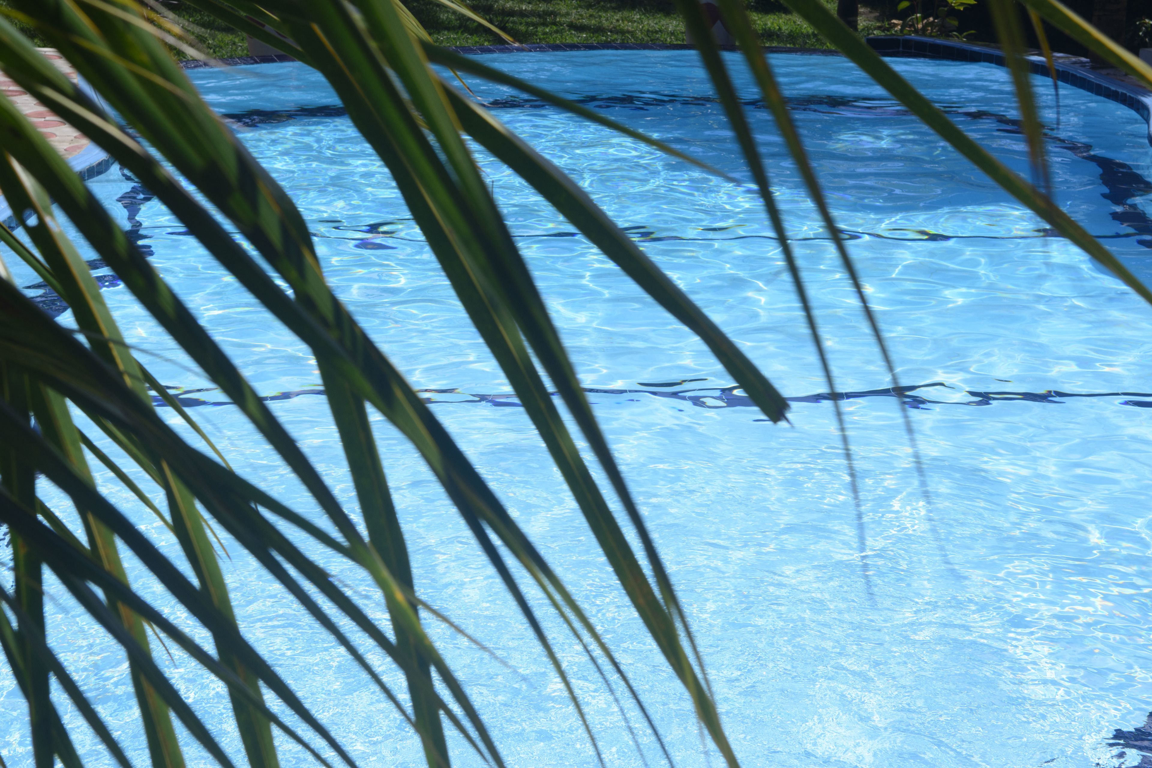 Udendørs pool, åben fra kl. 09.00 til kl. 19.00, liggestole