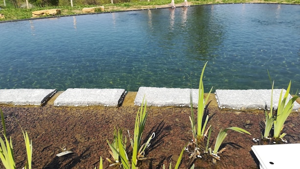 A clear pool with a surrounding gravel area and plants. - Sacreterre Room & Breakfast (Tizzano Val Parma)