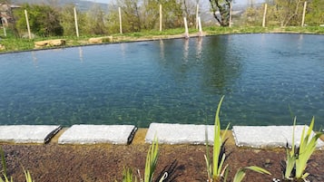 室外泳池