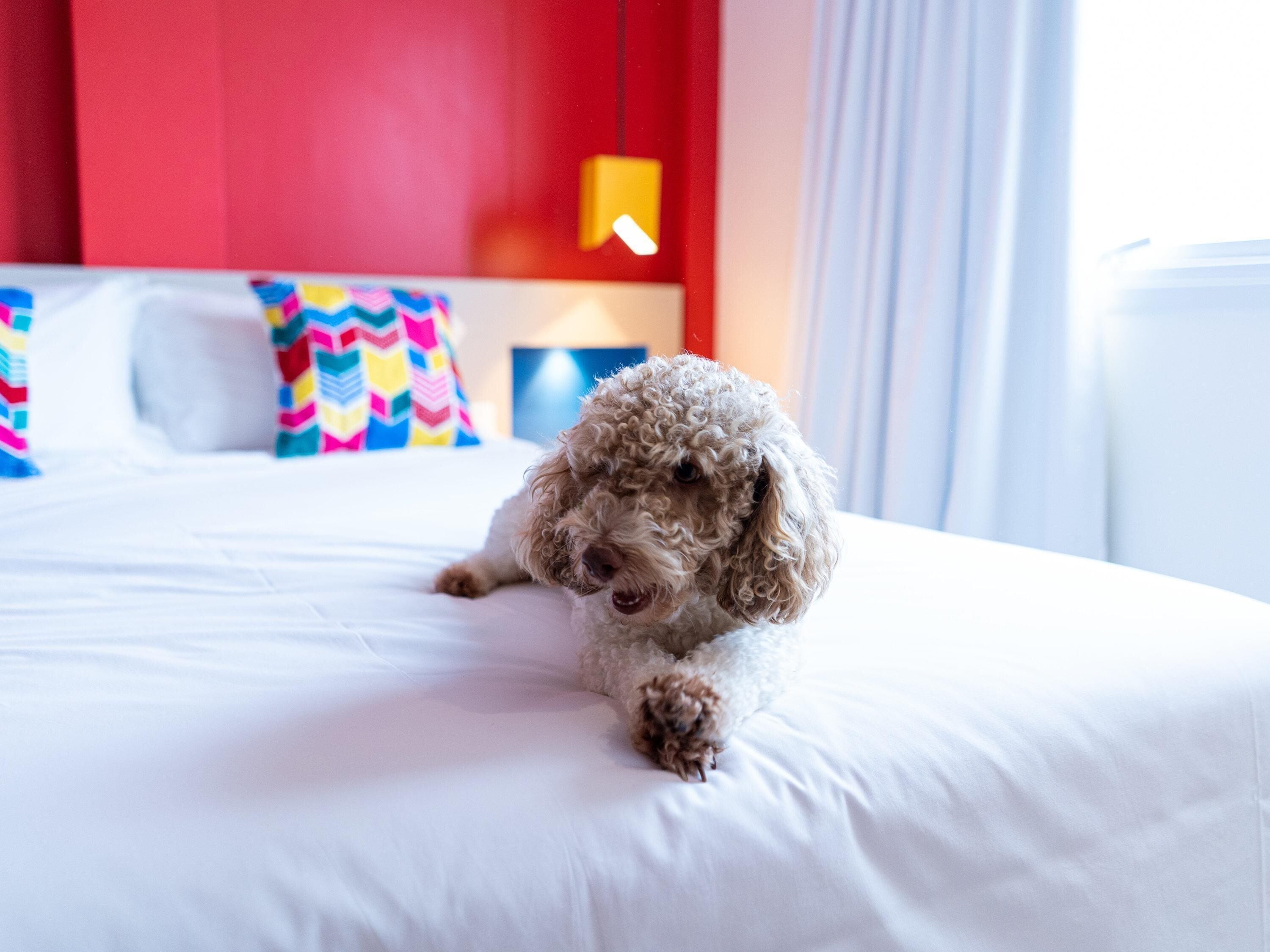 standard apartment, 1 double bed | minibar, individually decorated, individually furnished, desk