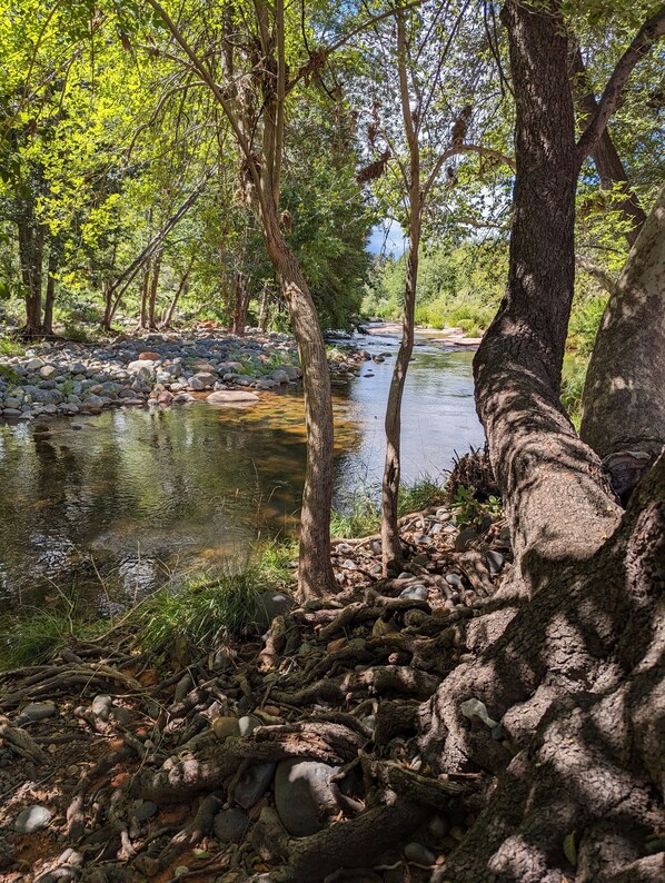 Un paysage naturel avec une rivière, des rochers et des arbres.