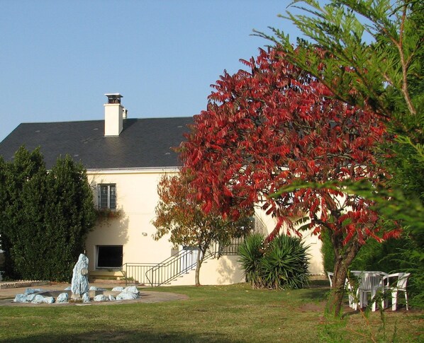 Trädgård