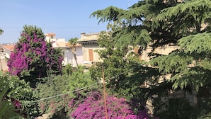 A residential street with houses, a parked car, and vibrant purple bougainvillea flowers. - Casa Del Sole Accomodation (Tropea)