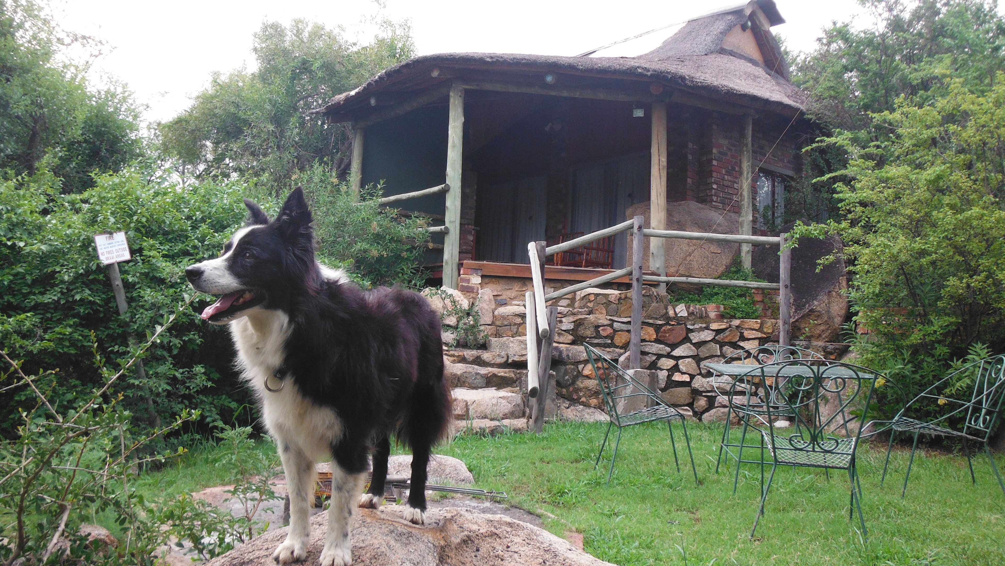 Cabin (Cormorant) | Exterior