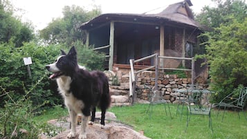 Cabin (Cormorant) | Exterior