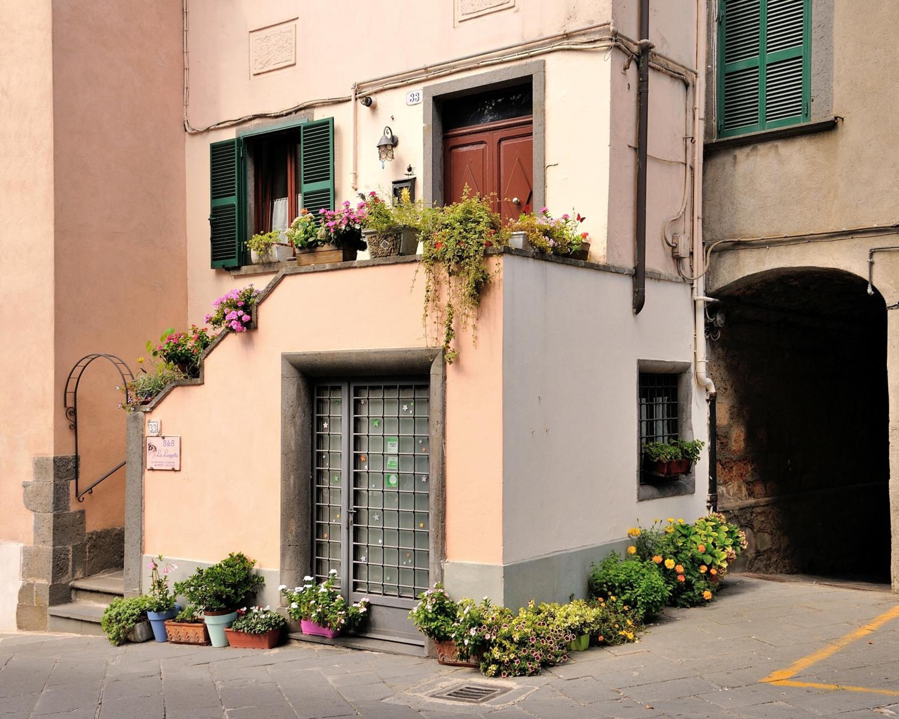 Un immeuble avec une entrée au rez-de-chaussée, un balcon avec des volets verts et diverses plantes en pot.