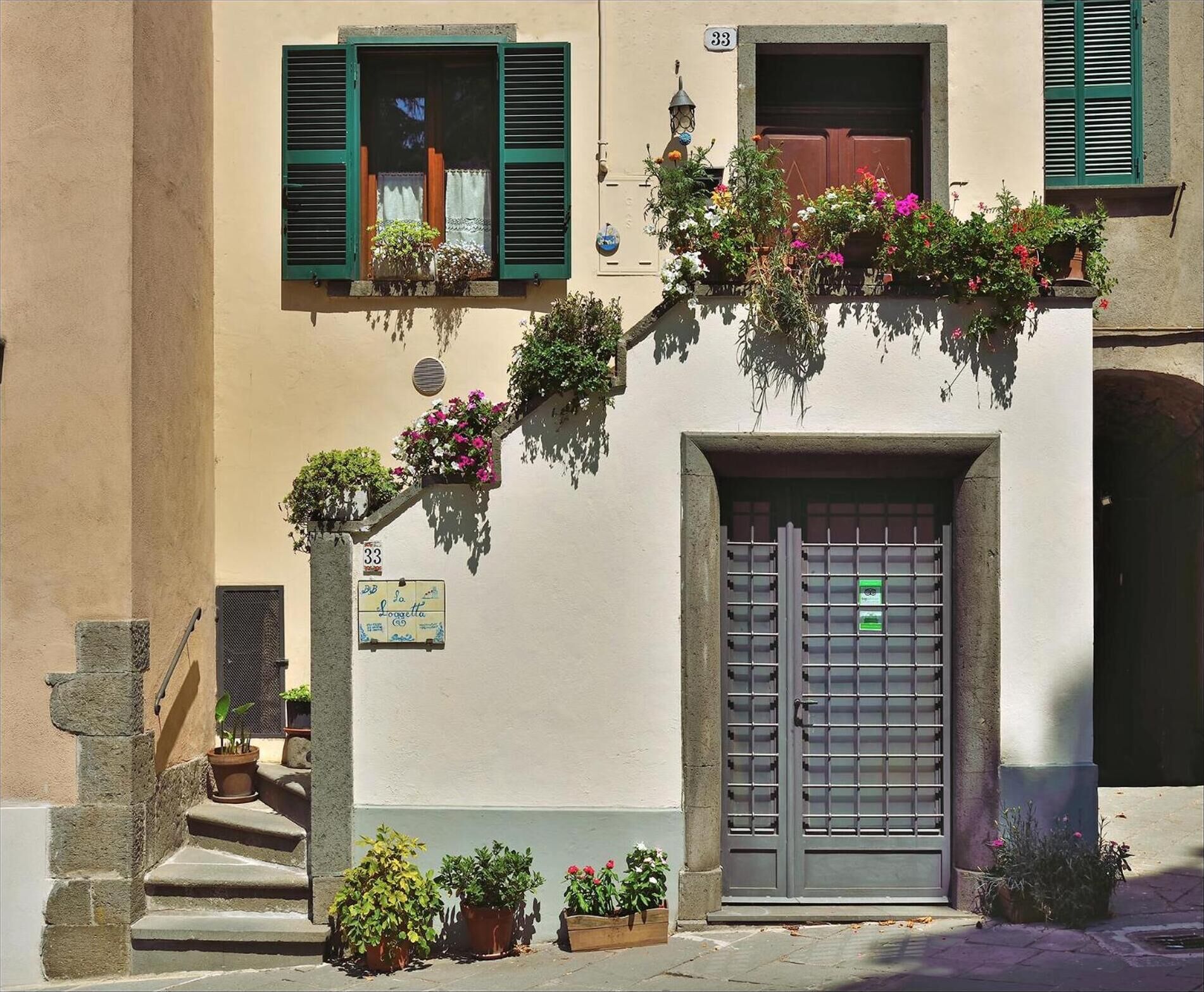 A building with a grey door, green shutters, and potted plants on the windowsills.