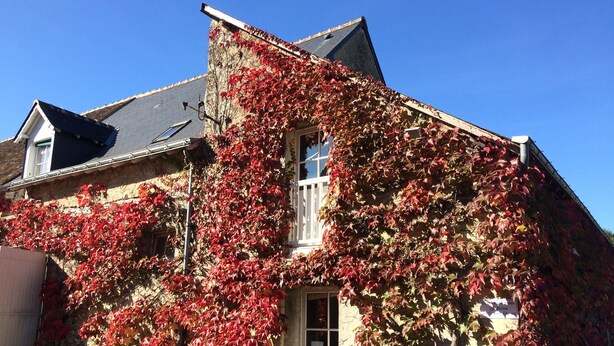 A house with a steeply pitched roof, a visible chimney, and a window with a white frame. - La Ferme du Grand Launay (Semblancay)
