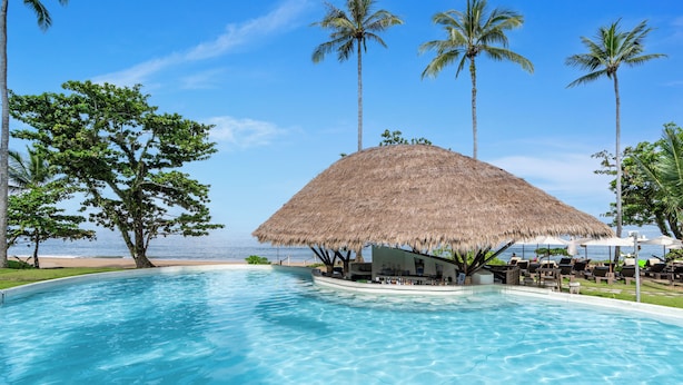 Une piscine dotée d’une structure surmontée d’un toit de chaume, de palmiers et offrant une vue sur la plage.
