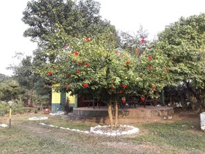 Property grounds - Garumara Green Wilderness Resort (Mal)