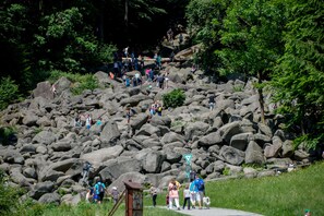 Point of interest - Boutique & Luxury-Apartments Horster (Bensheim)