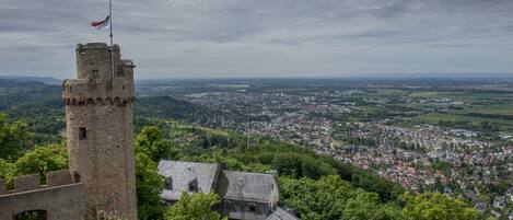 A historic stone tower with a flag, surrounded by lush greenery and a view of a town below.