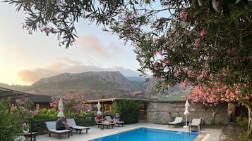 Relax by the serene pool surrounded by lush greenery and vibrant flowers, with lounge chairs and umbrellas for a comfortable retreat.